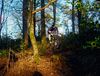 mountain-bike-539473.jpg