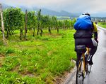 road-bike-761317.jpg