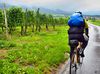road-bike-761317.jpg