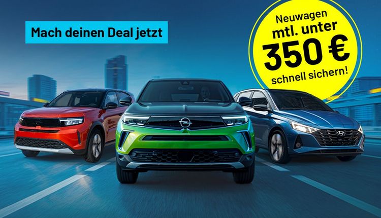 ASS-Athletic Sport Sponsoring - unser Partner 
