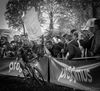 sven-nys-1946694.jpg