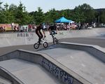 bmx-881796.jpg