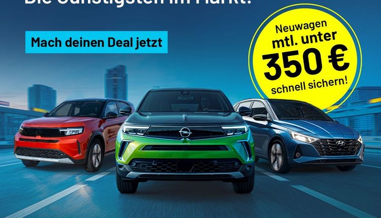 ASS-Athletic Sport Sponsoring - unser Partner 