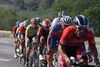 road-bikes-1562929.jpg