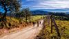 road-2934838.jpg