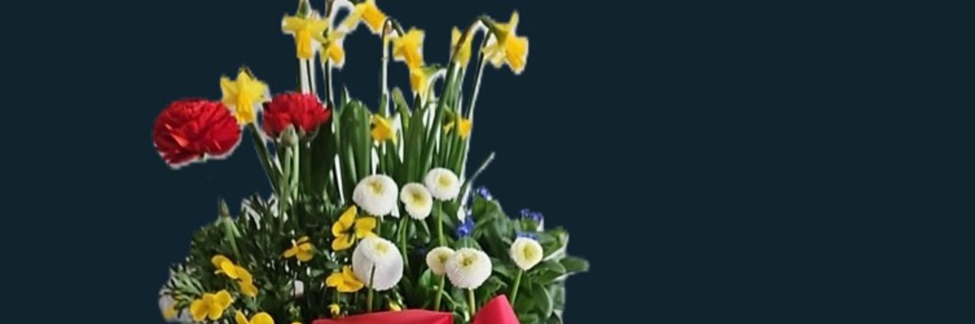 Trauer um Wilfried Herb