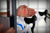 Bild_Bikefitting.png