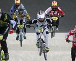 bmx-852683.jpg
