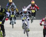 bmx-852683.jpg